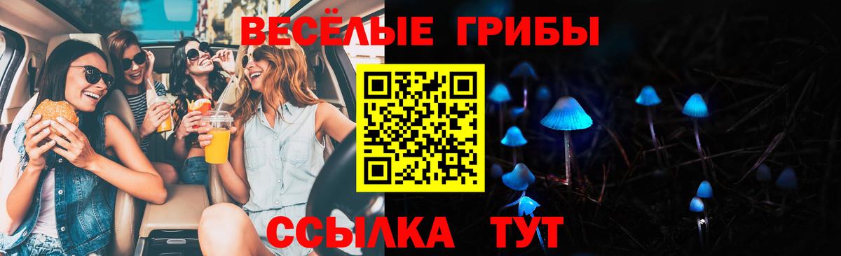 Галлюциногенные грибы Magic Shrooms  Вход с VPN  Красногорск  Галлюциногенные грибы мухоморы 